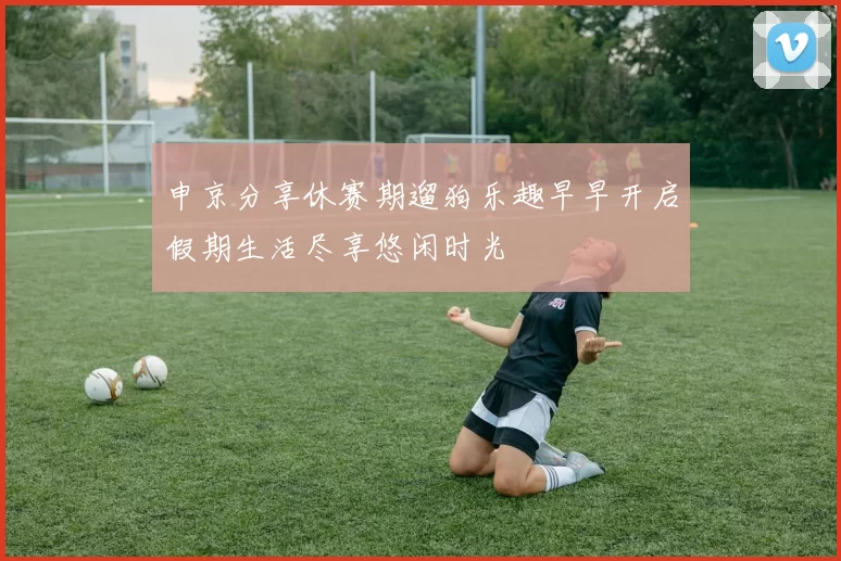 申京分享休赛期遛狗乐趣早早开启假期生活尽享悠闲时光