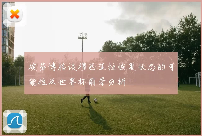 埃芬博格谈穆西亚拉恢复状态的可能性及世界杯前景分析