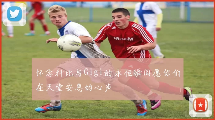 怀念科比与Gigi的永恒瞬间愿你们在天堂安息的心声